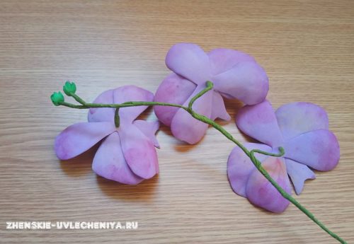 Как сделать орхидею из фоамирана своими руками: мастер-класс для начинающих