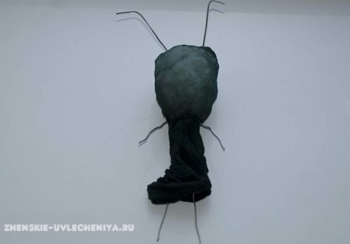 Мастер-класс: игрушка из капронового носка в виде кузнечика