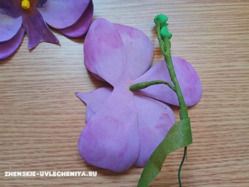 Как сделать орхидею из фоамирана своими руками: мастер-класс для начинающих