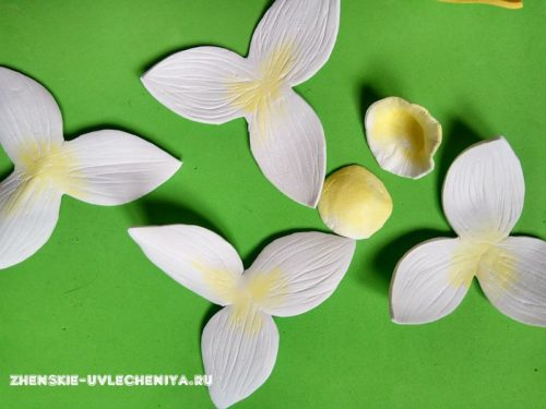 Яркие нарциссы из фоамирана для декора заколки в пошаговом мастер-классе