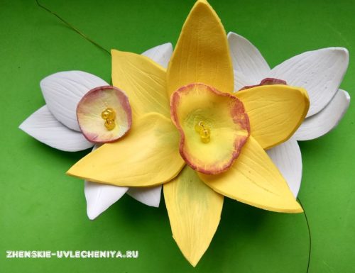 Яркие нарциссы из фоамирана для декора заколки в пошаговом мастер-классе