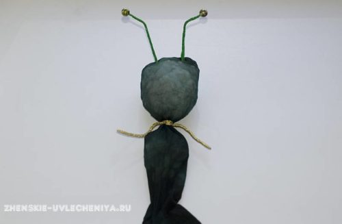Мастер-класс: игрушка из капронового носка в виде кузнечика